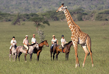 Kenya-Amboseli-Amboseli Horse Safari